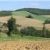 paysage