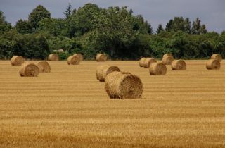 Flavacourt Site officiel de la commune