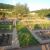 jardins 7