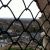 201601-visite-Clocher-36
