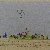 Exposition - dessin d'enfant - 2