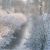 Marais en hiver 3