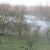 marais en brume