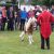 cirque cheval