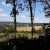 paysage 1