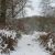 Marais en hiver 1