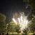 Feux de l'été 2025