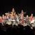 Concert de la Fête des Mères