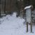 Notre forêt sous la neige