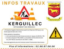 PIEGAGE DE FRELONS ASIATIQUES - Tréméoc - Site officiel de la commune