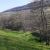 paysage vers Vernay