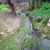 Un ruisseau