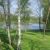 Etang