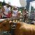 FETE DES ALAPGES 15 08 2018 C