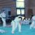 Fête de la MJC - judo
