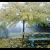 39. Le Clos Pinard