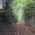 26. Chemin Gas Hublin