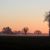 41. Coucher de soleil sur la boue