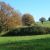 54. Paysages Bourassière