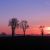 40. Coucher de soleil sur la boue